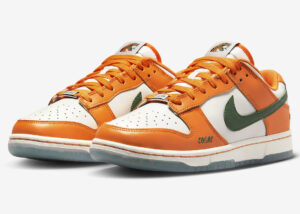 Nike Dunk Low “Florida A&M” DR6188-800