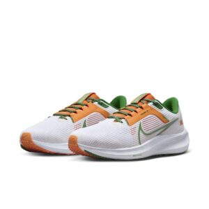 Nike Zoom Pegasus 40 “Florida A&M” DZ5941-100