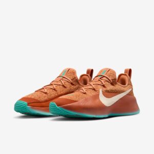 Nike LeBron TR 1 “Better With Age” FJ6151-200