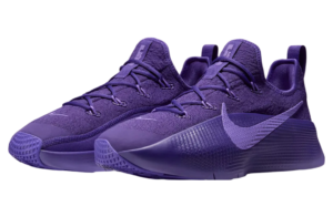 Nike LeBron TR 1 “Purple Rain” FJ6151-500