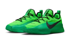 Nike LeBron TR 1 FJ6151-300