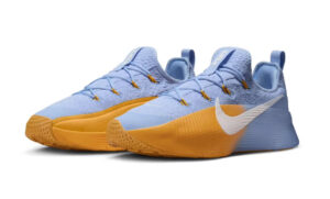 Nike LeBron TR 1 FJ6151-401